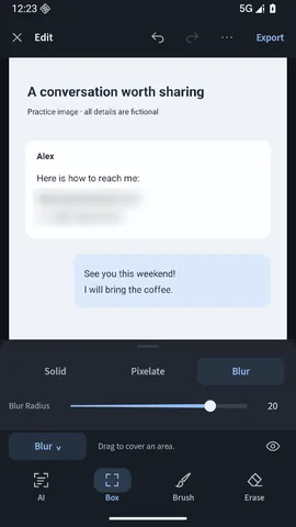 The contact details blurred in the editor, with the blur radius slider below