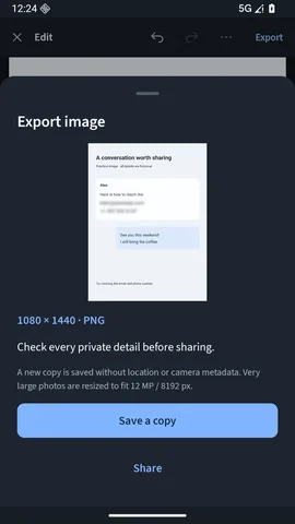 The export screen with a preview of the covered image and buttons to save a copy or share