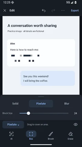 The contact details pixelated in the editor, with the block size slider below