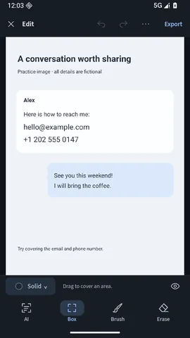 The Hushpix editor showing a practice chat image with a fictional email address and phone number